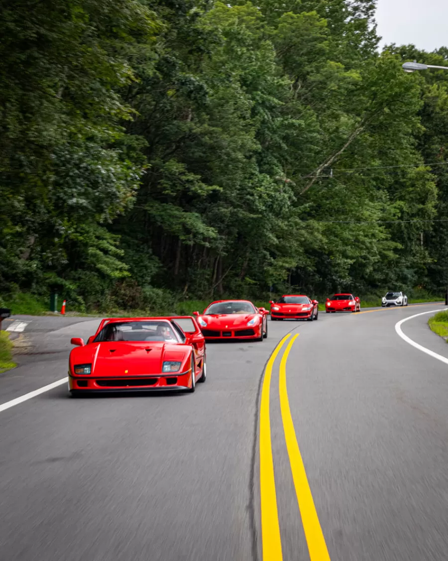 Spring Scenic Drive