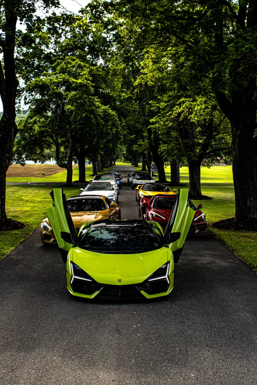 Five Star Exotic Cars vehicle and event setting